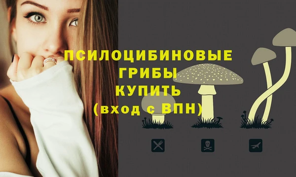 героин Алзамай